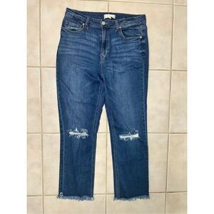 Anthropologie Harper High Rise Straight Jeans Size 30